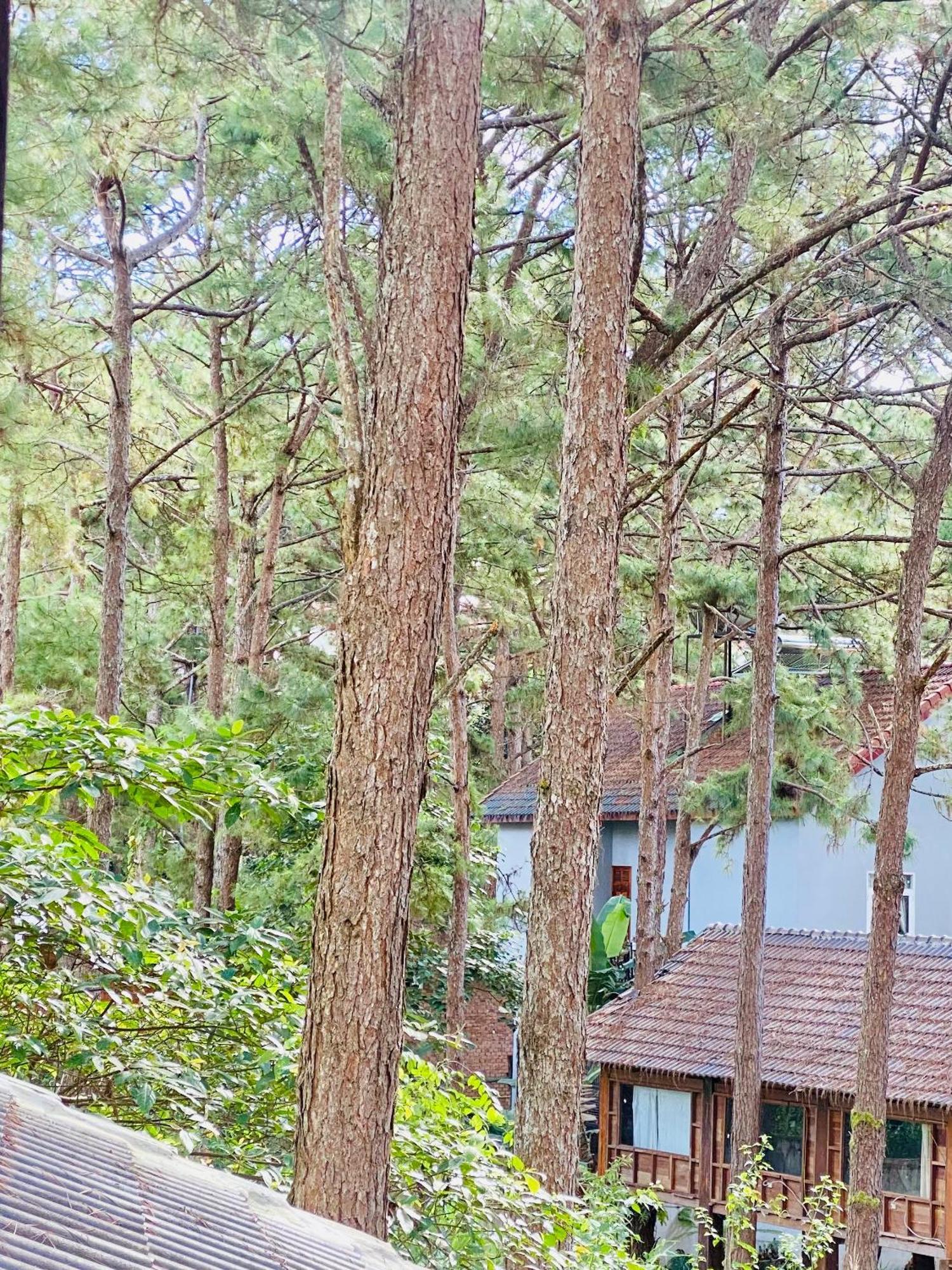 Tron Homestay Kon Von Kla Esterno foto