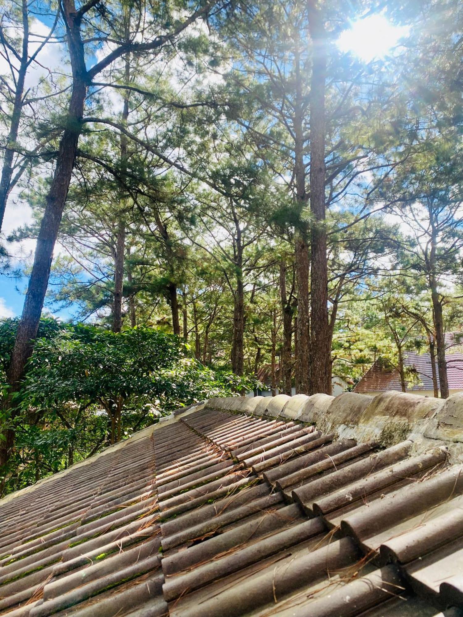 Tron Homestay Kon Von Kla Esterno foto